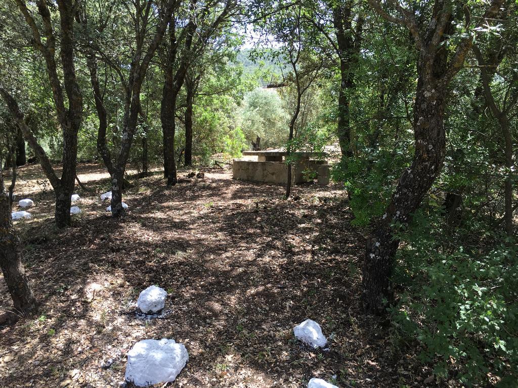 Casas Rurales La Loma Del Carrascal Hornos Dış mekan fotoğraf