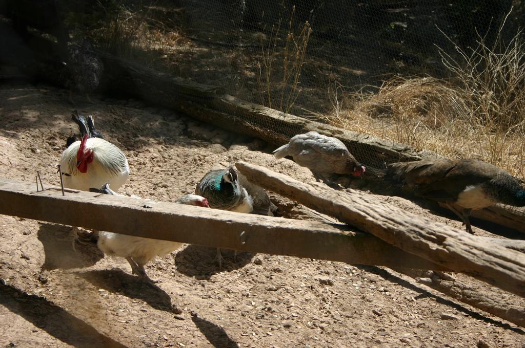 Casas Rurales La Loma Del Carrascal Hornos Dış mekan fotoğraf