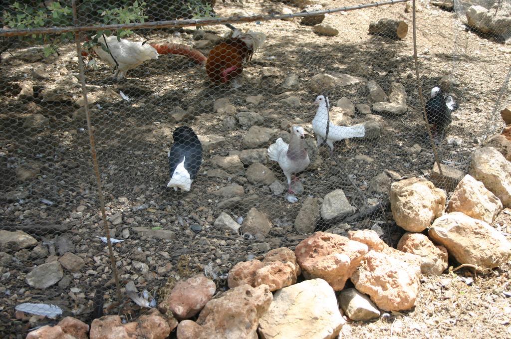 Casas Rurales La Loma Del Carrascal Hornos Dış mekan fotoğraf