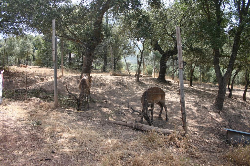 Casas Rurales La Loma Del Carrascal Hornos Dış mekan fotoğraf