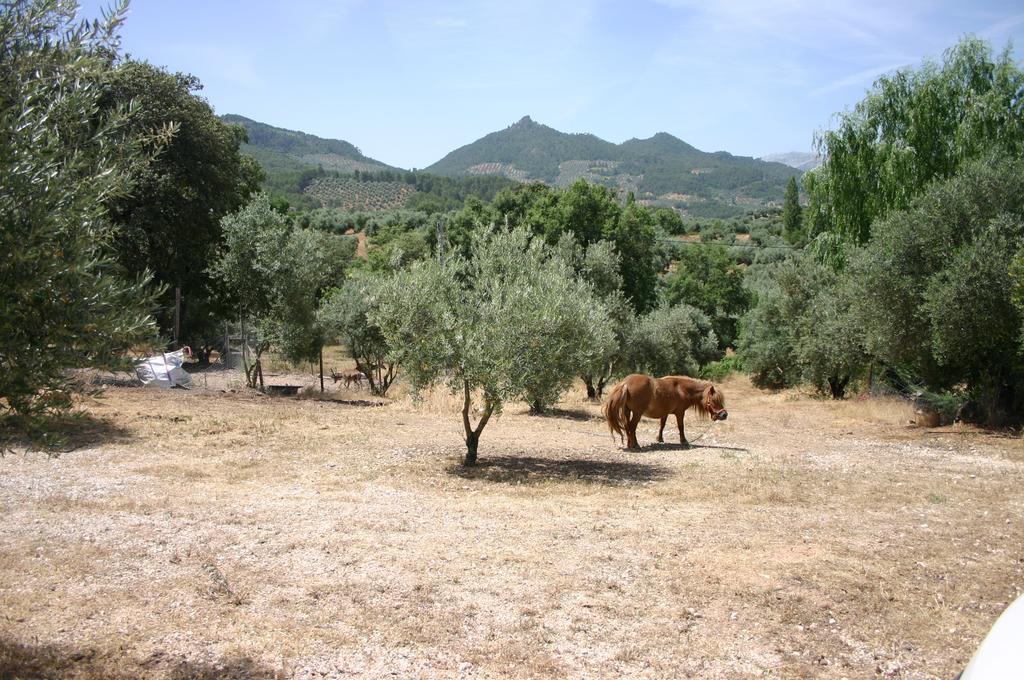 Casas Rurales La Loma Del Carrascal Hornos Dış mekan fotoğraf
