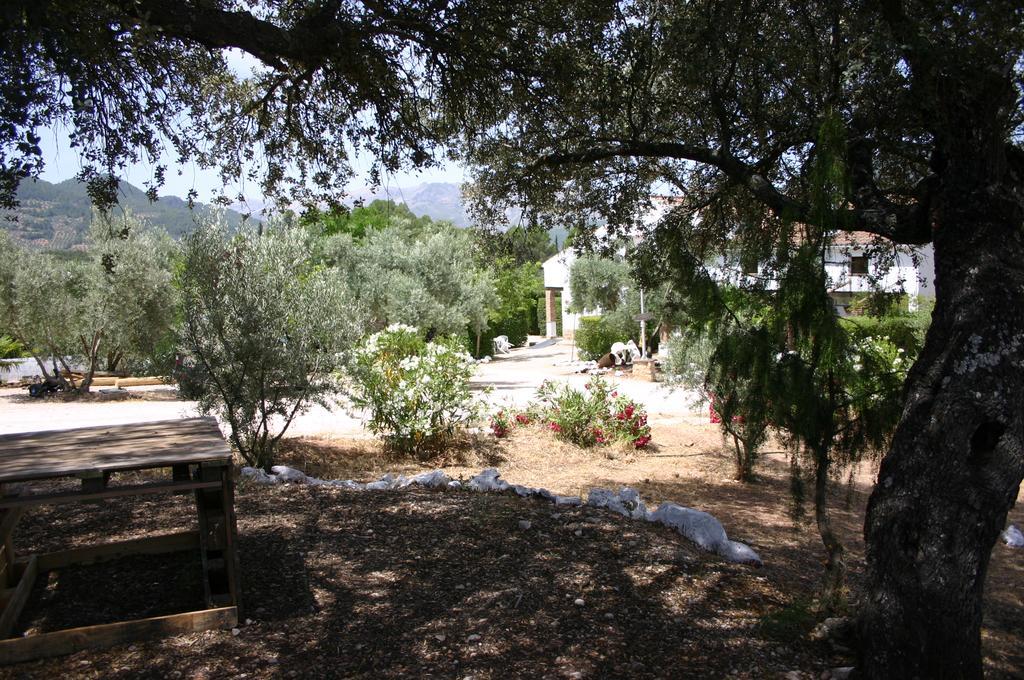 Casas Rurales La Loma Del Carrascal Hornos Dış mekan fotoğraf
