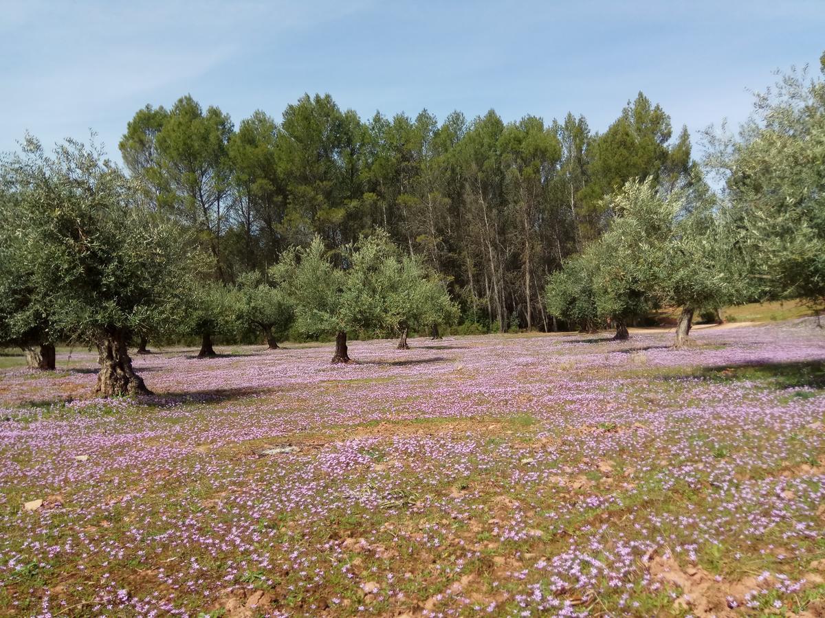 Casas Rurales La Loma Del Carrascal Hornos Dış mekan fotoğraf